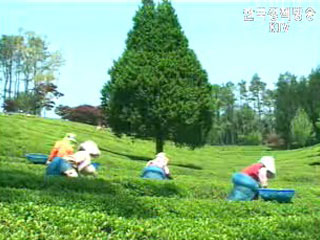 전국 19개 지역 향토자원 브랜드화