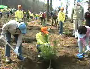‘경제성 있는 숲 가꾸자’