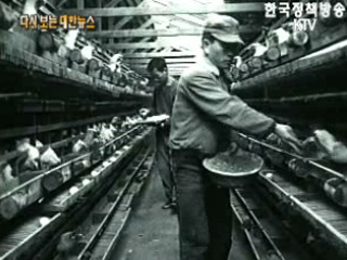 해군원양 훈련단 하와이 도착('62)