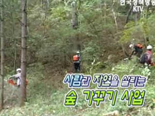 자연과 사람을 살리는 숲 가꾸기 사업