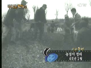 농경지 정리(65')