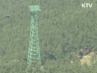 케이블카, 과연 필요한가? [현장 포커스]