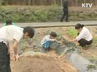 KTV로 보는 <위클리 공감> [정책공감]