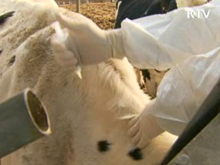 구제역 백신 6개월마다 접종