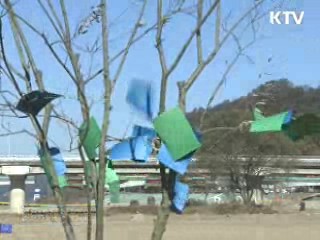 국민이 함께 4대강을 '희망의 숲'으로