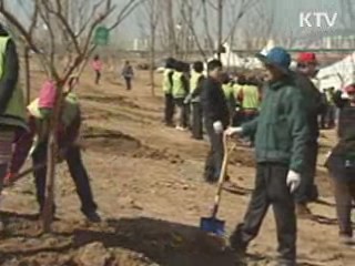 '4대강 희망의 숲' 첫 식목행사 개최