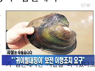 "'귀이빨대칭이' 보전 이행조치 요구"