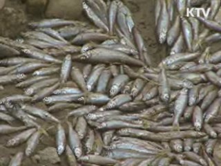 한-인도네시아 대규모 협력사업 '급물살'