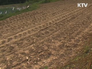 이 대통령 "4대강 관로 검토"