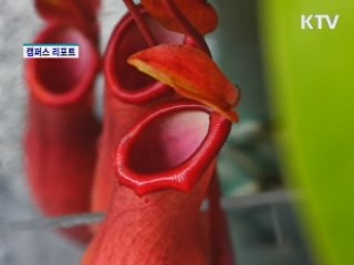 들쥐·도마뱀도 꿀꺽…식충식물 한자리에 [캠퍼스리포트]