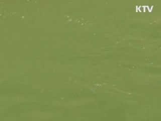 녹조 확산…고도정수처리 시설 확대