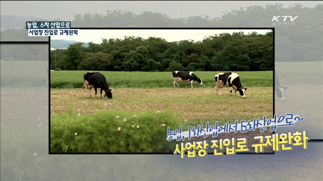 농업, 1차산업에서 6차산업으로~ 사업장 진입로 규제완화 [규제개혁 현장]