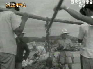농산물 판매 촉진 - 인천원예협동조합 판매장, 용산역(‘62)