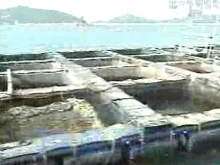 수산자원 회복사업 지원계획