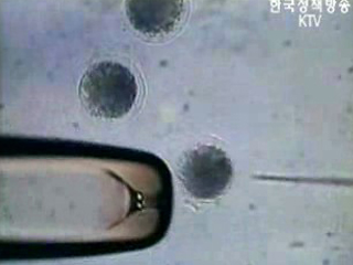 기초과학 분야에 역점 둬야