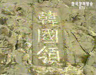 독도담화발표에 대한 일본현지 반응