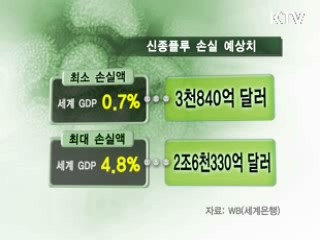 경기회복 '발목' 신종플루 총력대응 [경제브리핑]