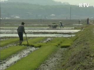 귀어·귀촌가구 정착 맞춤형 지원