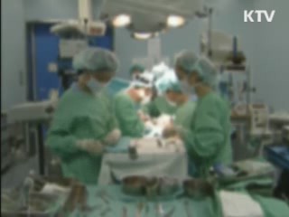 불법 낙태 범정부적 대응