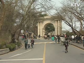 시간강사제 폐지, 교원 신분 부여