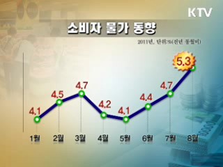 물가 5.3% 급등…"이달 이후 안정세"