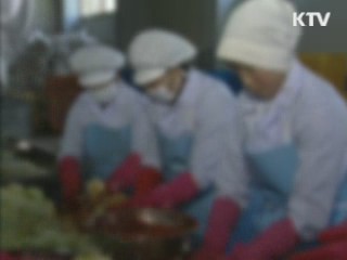 불량 김장 제조업체 무더기 적발