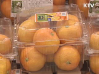 전국 대형마트·SSM 사실상 휴일 정상영업