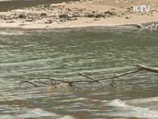 환경부 '녹조 대응' 수질관리과 신설