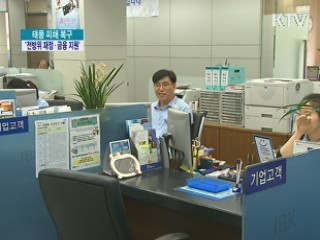 태풍 피해 '전방위 재정·금융 지원'