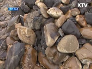 박정희 前 대통령 순시기념비 '관광 자원화' [시니어 리포트]