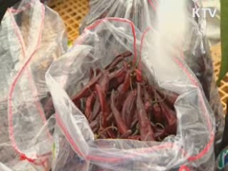 김장채소 생산량 증가···수출 유도