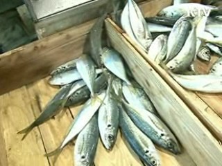 원자력안전 '컨트롤타워' 규제정책 조정회의 신설