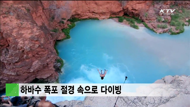 하바수 폭포 절경 속으로 다이빙 [세계 이모저모]