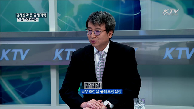 경제효과 큰 규제개혁 지속 추진 과제는 [정책 포커스]