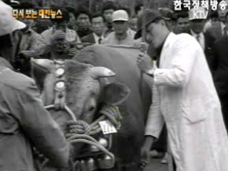 극동종합체육관 개관, 부산(`70)