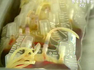 가슴이 따뜻해지는 나눔,‘등록헌혈제’