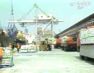 정부, 조만간 대북 비료지원 개시