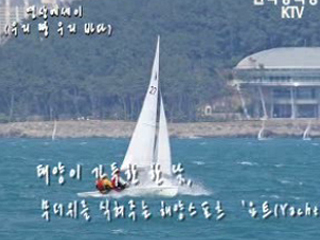 부산 수영만 요트경기장의 하루