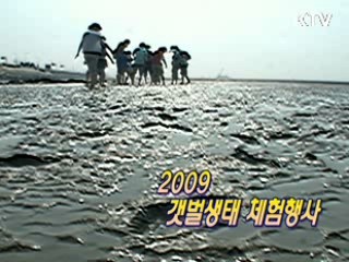 2009갯벌생태 체험행사 [문화현장]