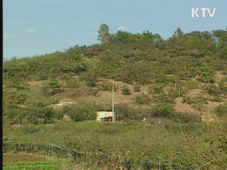 연말까지 토지·임야대장 대대적 손질