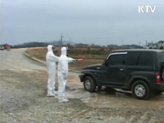 전북 익산서 조류인플루엔자 발생