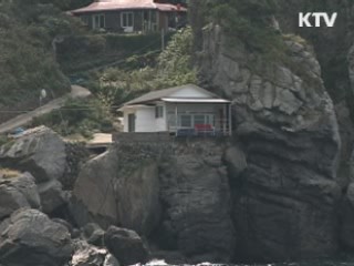 울릉도 '녹색섬' 사업 본격 추진