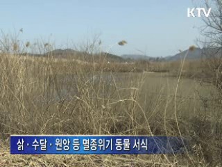 습지 곳곳 생명이 살아 숨쉬는 금강