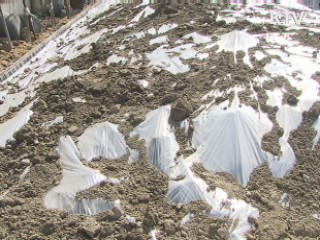 민·관 합동 매몰지 점검 29일까지 완료