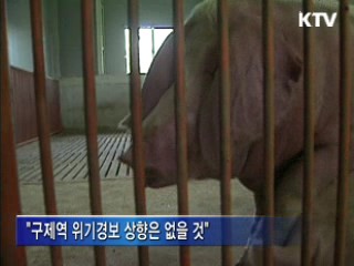 영천 구제역 재발…긴급 방역 조치