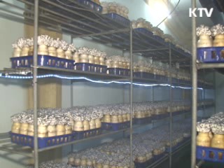 국내 식물 품종보호 출원 세계 8위