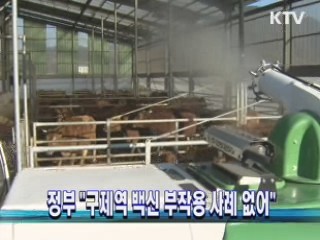 정부 "구제역 백신 부작용 사례 없어"