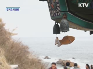 대학생들, 낙산사 나무심기 나섰다