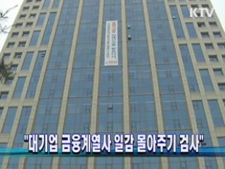 "대기업 금융계열사 일감 몰아주기 검사"