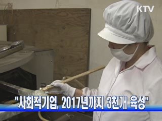 "사회적기업, 2017년까지 3천개 육성"